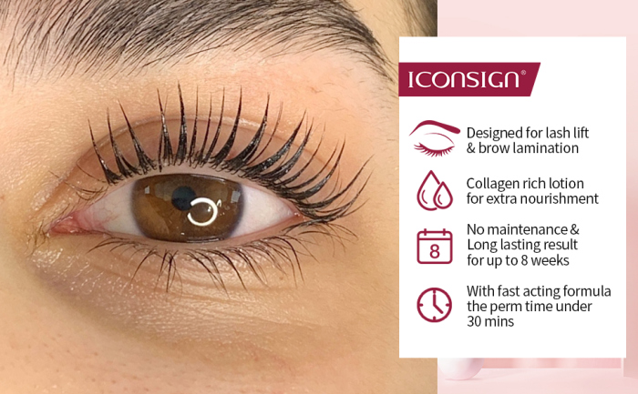ICONSIGN, Lash Lift EyeLash Eyebrow With Dye Kit  ايكونساين، بكج رفع الرموش و الحواجب مع صبغة 